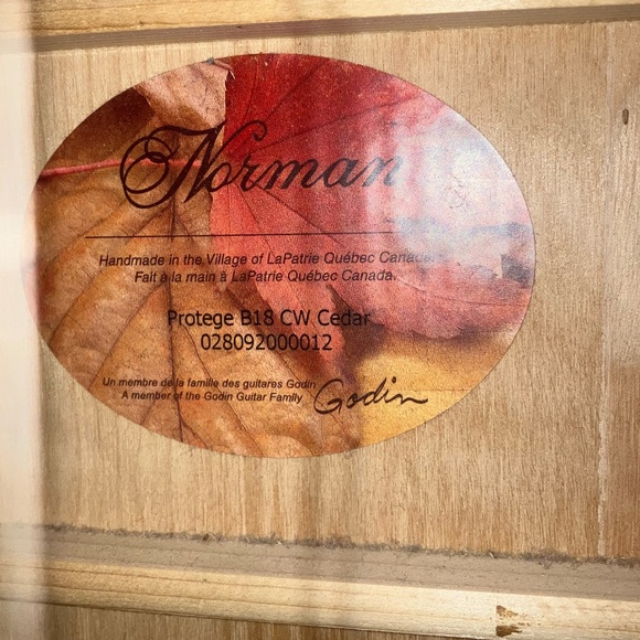 Acoustic guitar with hard case - Picture 2 of 3